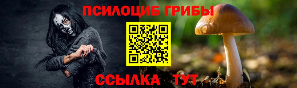 Ногинск  Псилоцибиновые грибы мицелий  Вход с VPN 