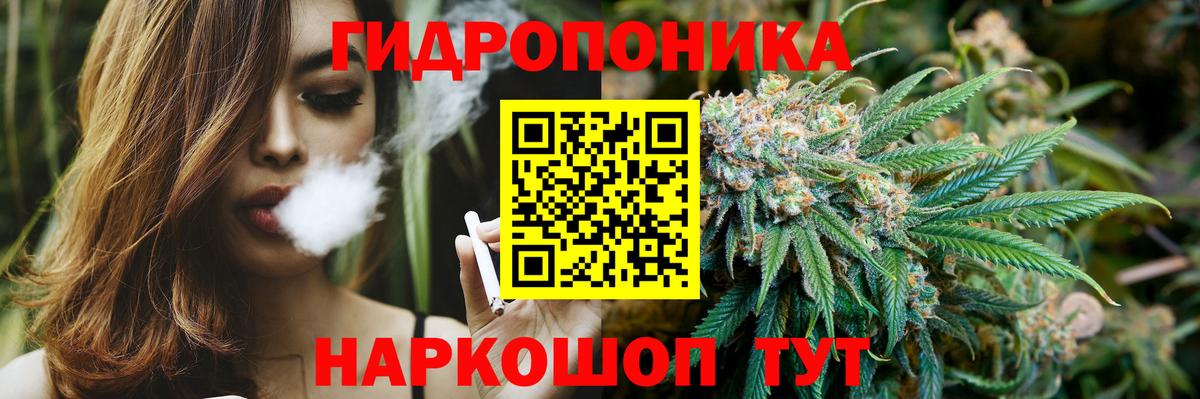 Конопля гибрид  Бошки Шишки ГИДРОПОН  Бошки марихуана LSD WEED  Ногинск  Вход с VPN 
